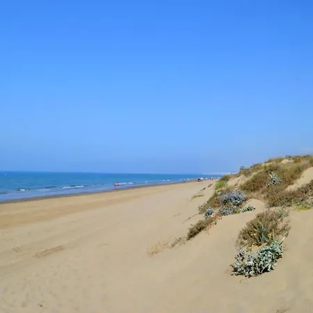 Studio In Marbella With Beachfront Pool Apartment *